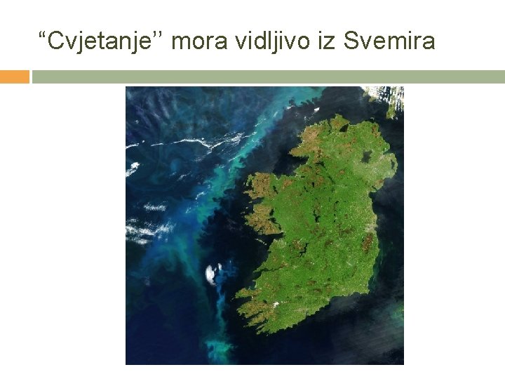 “Cvjetanje’’ mora vidljivo iz Svemira 