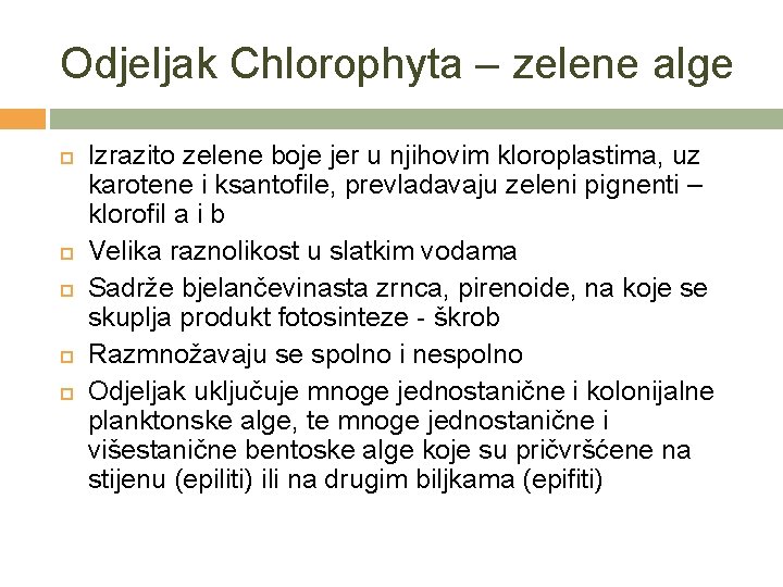 Odjeljak Chlorophyta – zelene alge Izrazito zelene boje jer u njihovim kloroplastima, uz karotene