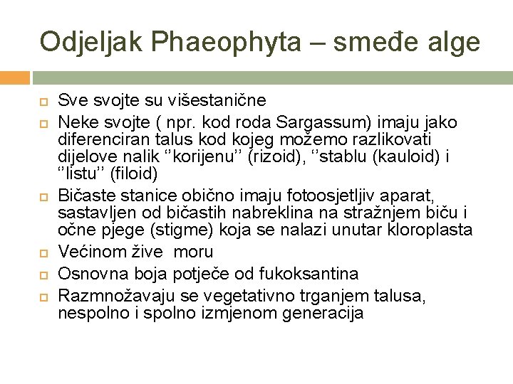 Odjeljak Phaeophyta – smeđe alge Sve svojte su višestanične Neke svojte ( npr. kod