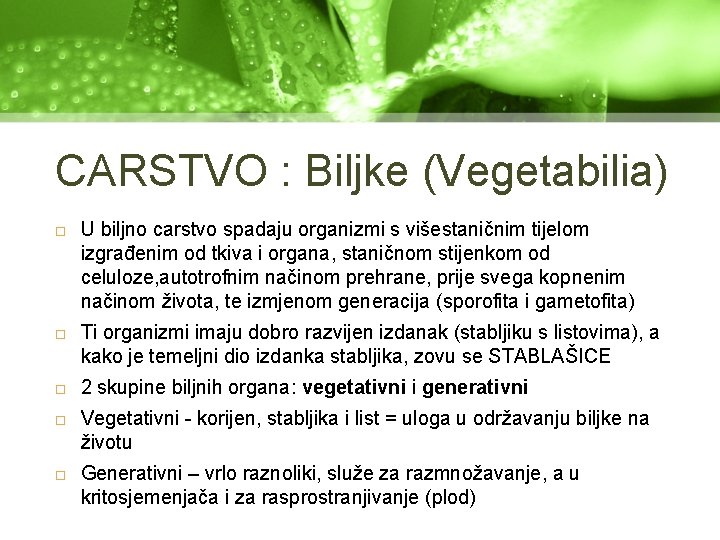 CARSTVO : Biljke (Vegetabilia) U biljno carstvo spadaju organizmi s višestaničnim tijelom izgrađenim od