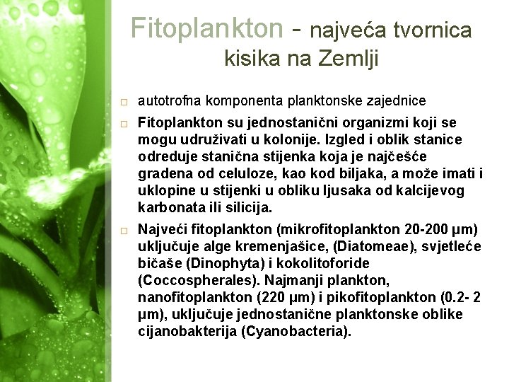 Fitoplankton - najveća tvornica kisika na Zemlji autotrofna komponenta planktonske zajednice Fitoplankton su jednostanični