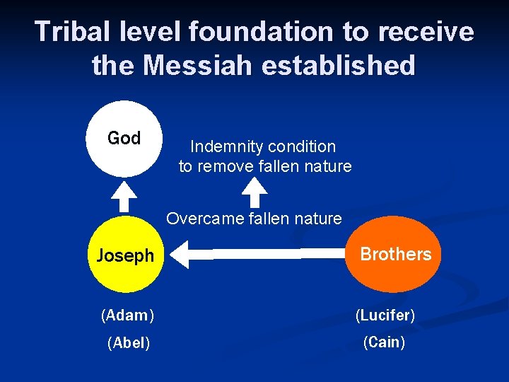 Tribal level foundation to receive the Messiah established God Indemnity condition to remove fallen