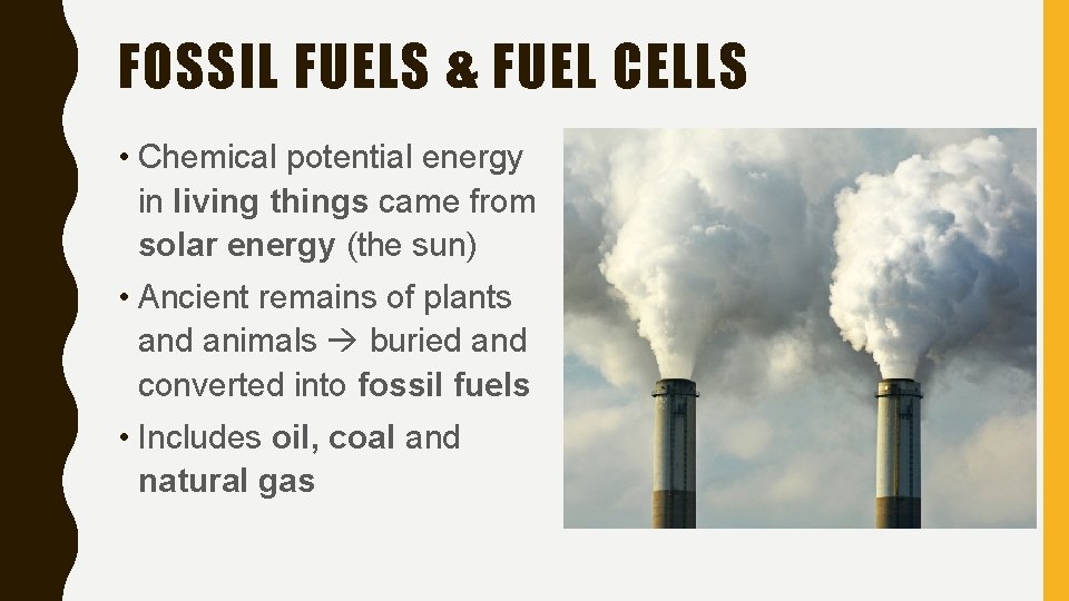 FOSSIL FUELS & FUEL CELLS • Chemical potential energy in living things came from