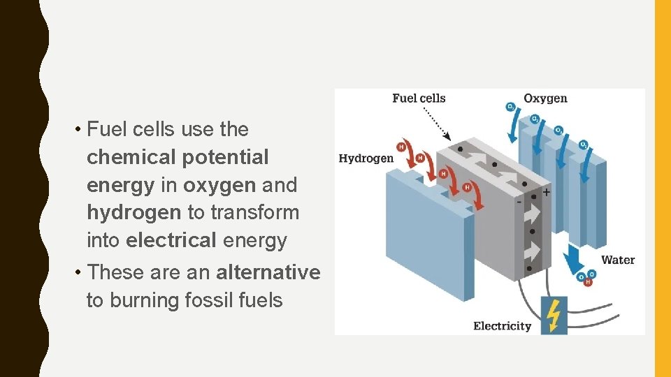  • Fuel cells use the chemical potential energy in oxygen and hydrogen to