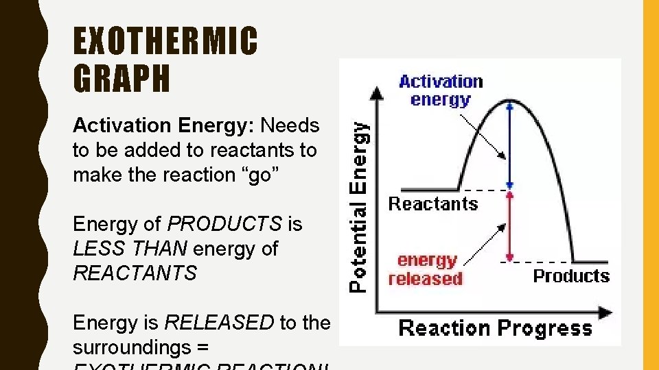 EXOTHERMIC GRAPH Activation Energy: Needs to be added to reactants to make the reaction