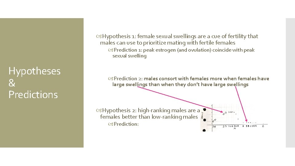  Hypothesis 1: female sexual swellings are a cue of fertility that males can