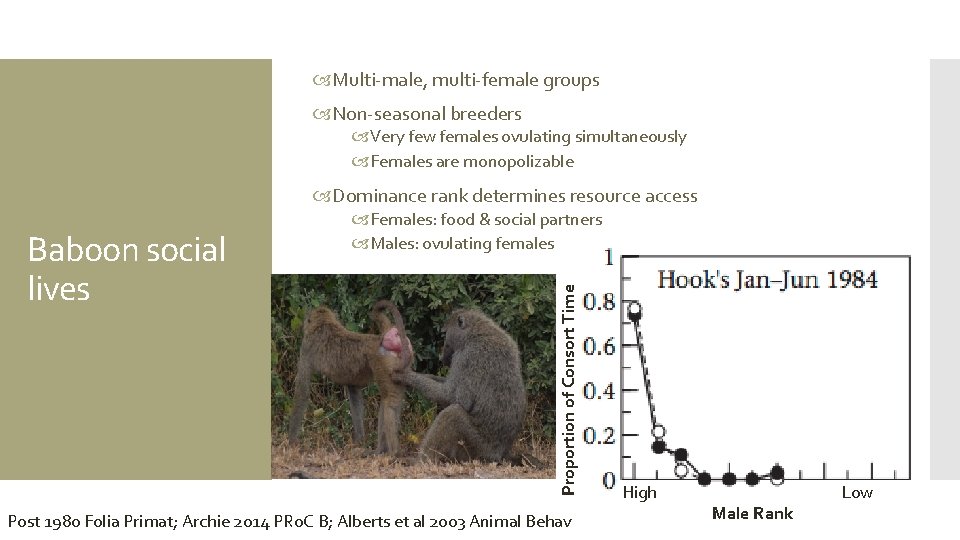  Multi-male, multi-female groups Non-seasonal breeders Very few females ovulating simultaneously Females are monopolizable