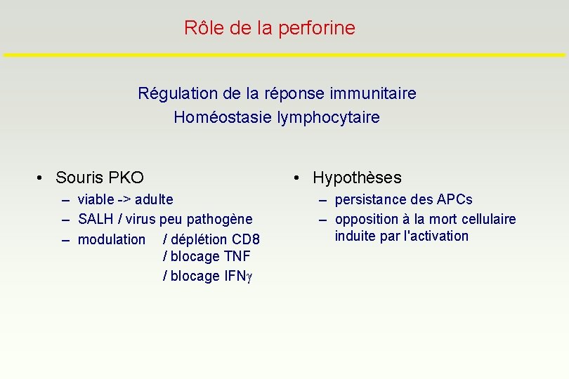 Rôle de la perforine Régulation de la réponse immunitaire Homéostasie lymphocytaire • Souris PKO