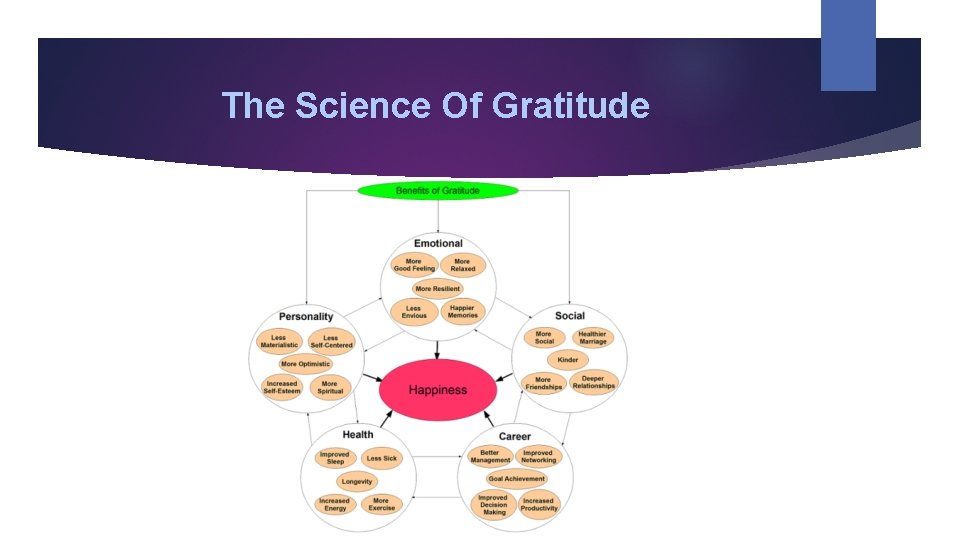 The Science Of Gratitude 