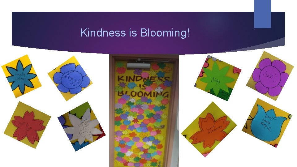 Kindness is Blooming! 
