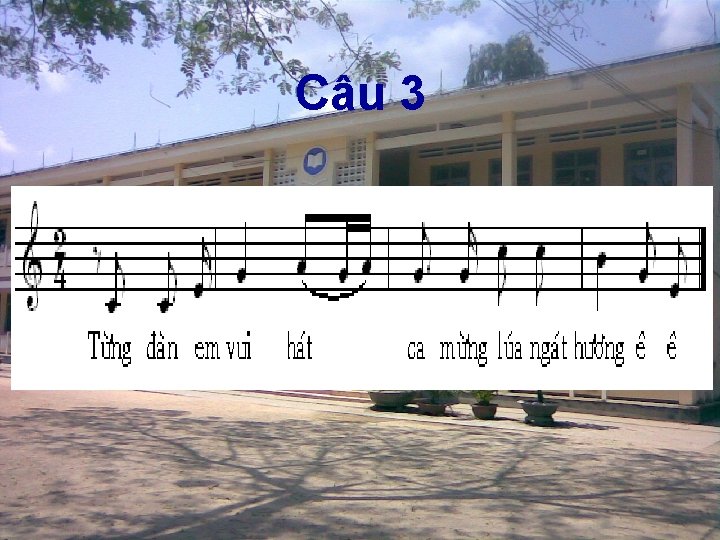 Câu 3 