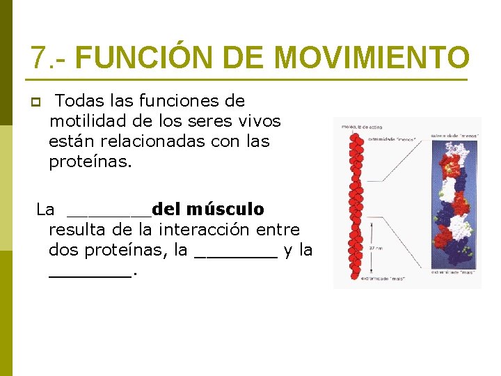 7. - FUNCIÓN DE MOVIMIENTO p Todas las funciones de motilidad de los seres