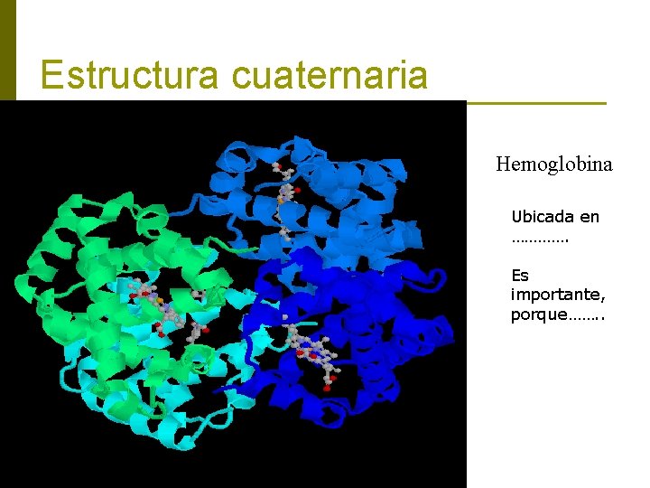Estructura cuaternaria Hemoglobina Ubicada en …………. Es importante, porque……. . 