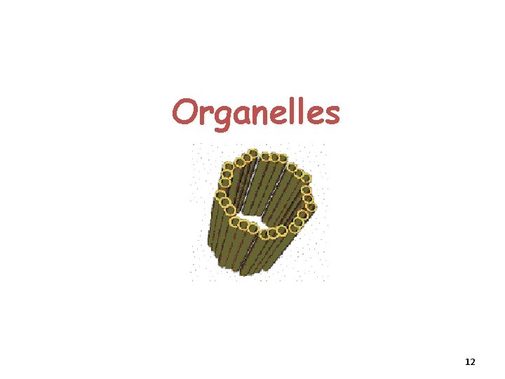 Organelles 12 