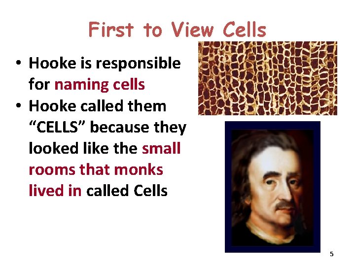 First to View Cells • Hooke is responsible for naming cells • Hooke called