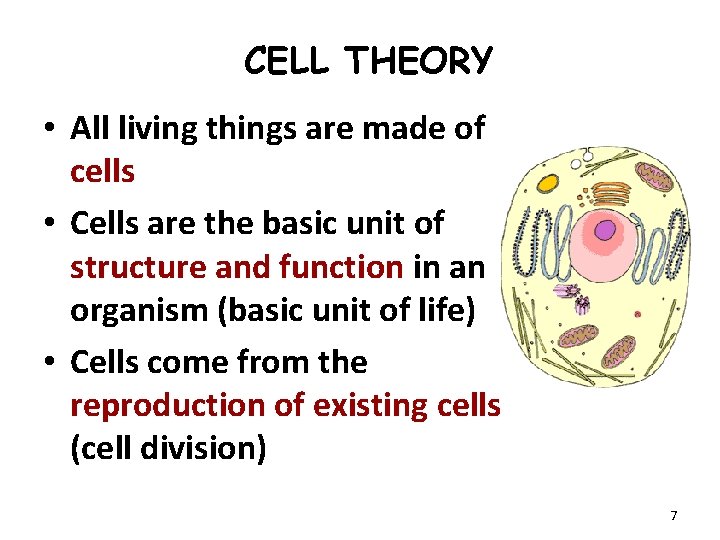CELL THEORY • All living things are made of cells • Cells are the