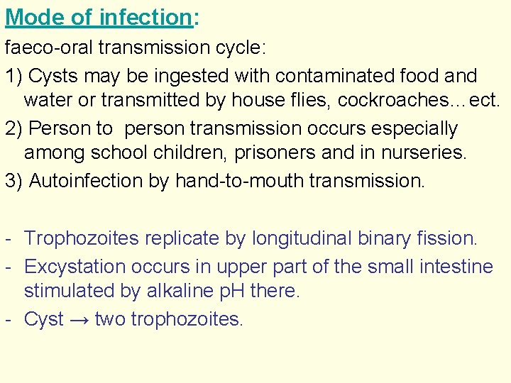 Mode of infection: faeco-oral transmission cycle: 1) Cysts may be ingested with contaminated food