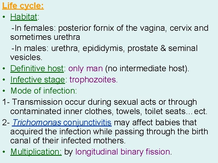 Life cycle: • Habitat: -In females: posterior fornix of the vagina, cervix and sometimes