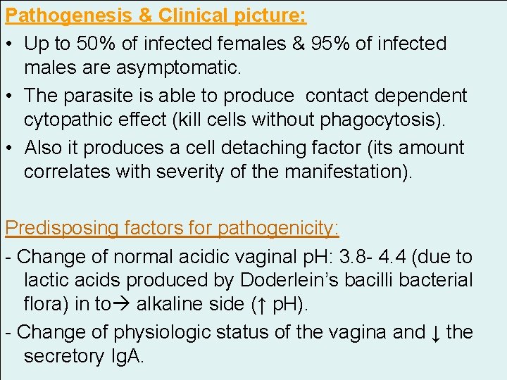 Pathogenesis & Clinical picture: • Up to 50% of infected females & 95% of