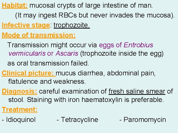 Habitat: mucosal crypts of large intestine of man. (It may ingest RBCs but never