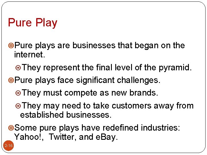 Pure Play Pure plays are businesses that began on the internet. They represent the