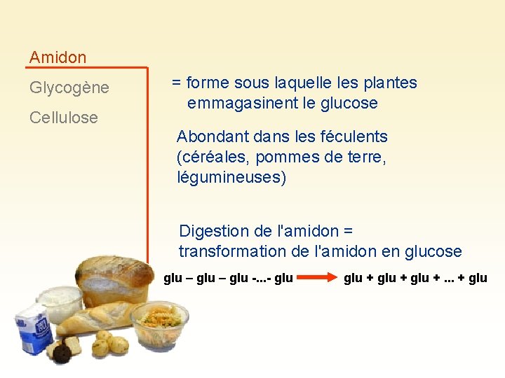 Amidon Glycogène Cellulose = forme sous laquelle les plantes emmagasinent le glucose Abondant dans