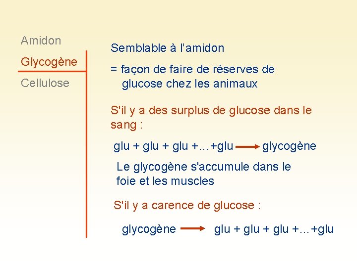 Amidon Glycogène Cellulose Semblable à l’amidon = façon de faire de réserves de glucose