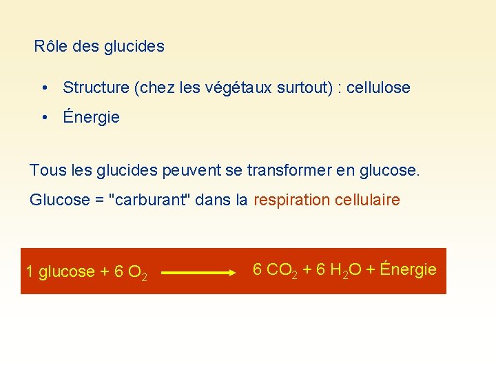 Rôle des glucides • Structure (chez les végétaux surtout) : cellulose • Énergie Tous