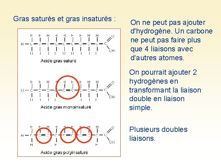 Gras saturés et gras insaturés : On ne peut pas ajouter d'hydrogène. Un carbone