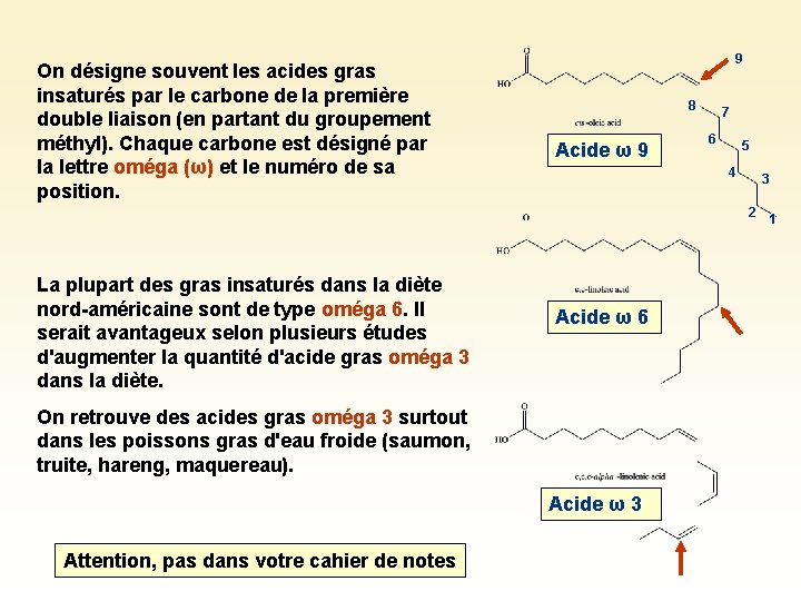 On désigne souvent les acides gras insaturés par le carbone de la première double