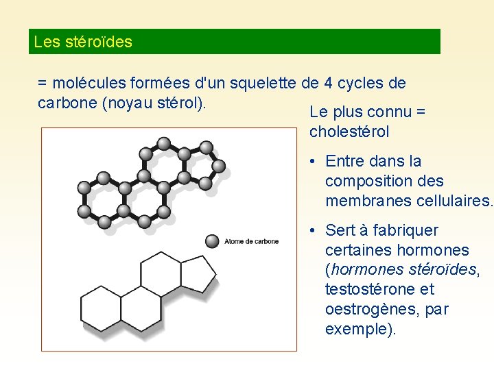 Les stéroïdes = molécules formées d'un squelette de 4 cycles de carbone (noyau stérol).