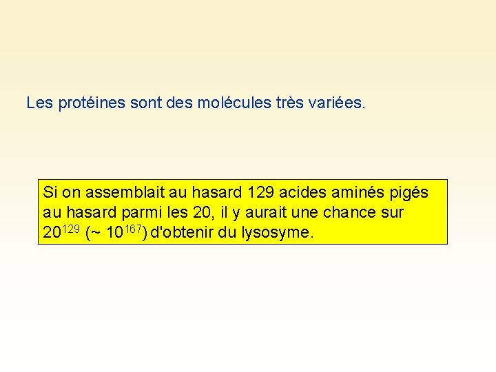 Les protéines sont des molécules très variées. Si on assemblait au hasard 129 acides