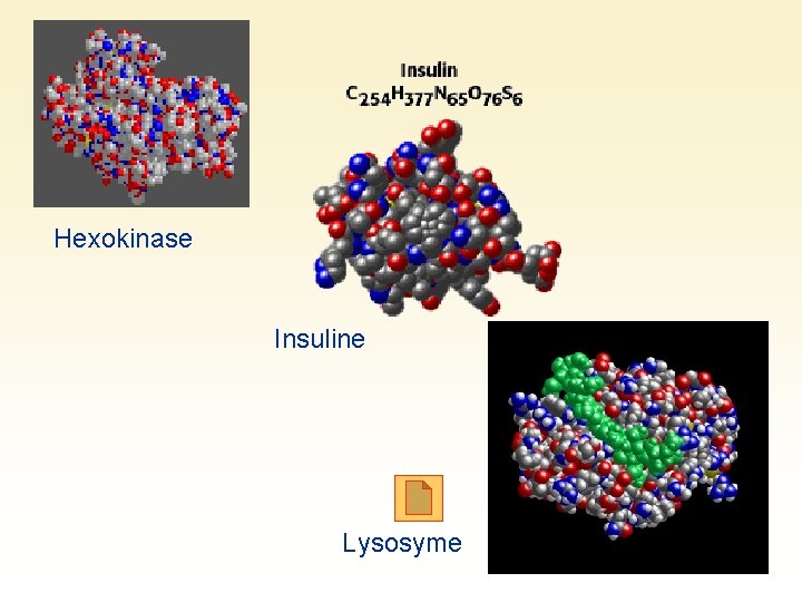 Hexokinase Insuline Lysosyme 