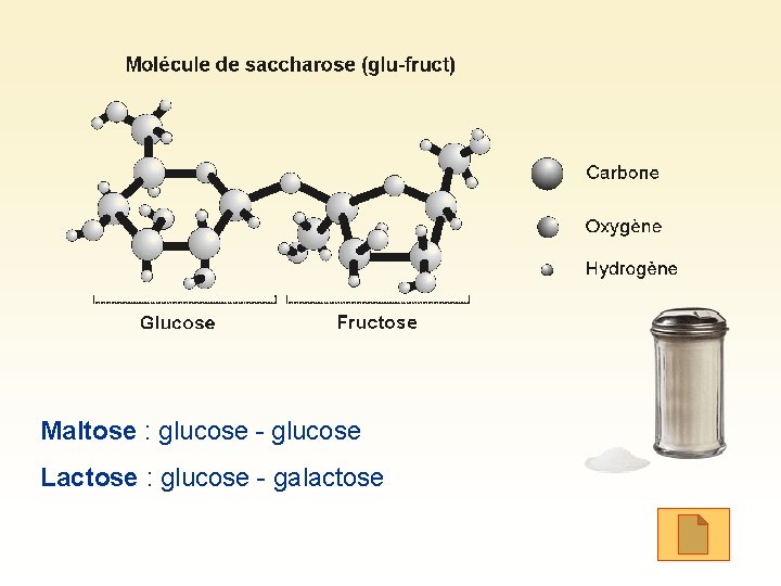 Maltose : glucose - glucose Lactose : glucose - galactose 