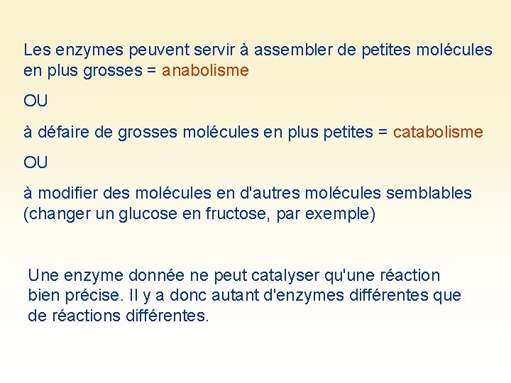 Les enzymes peuvent servir à assembler de petites molécules en plus grosses = anabolisme