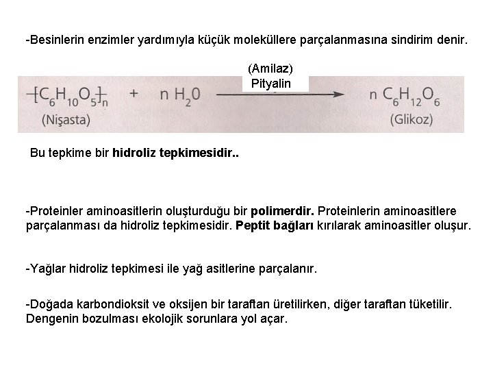 -Besinlerin enzimler yardımıyla küçük moleküllere parçalanmasına sindirim denir. (Amilaz) Pityalin Bu tepkime bir hidroliz