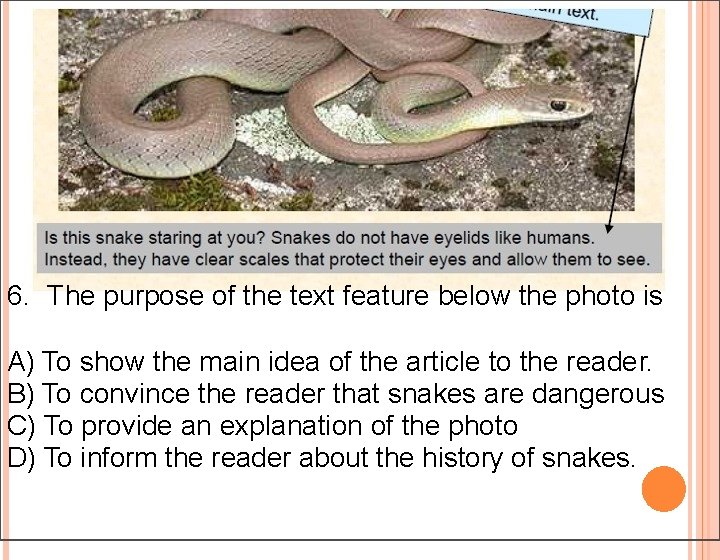 6. The purpose of the text feature below the photo is A) To show 6. The purpose of the text feature below the photo is A) To show