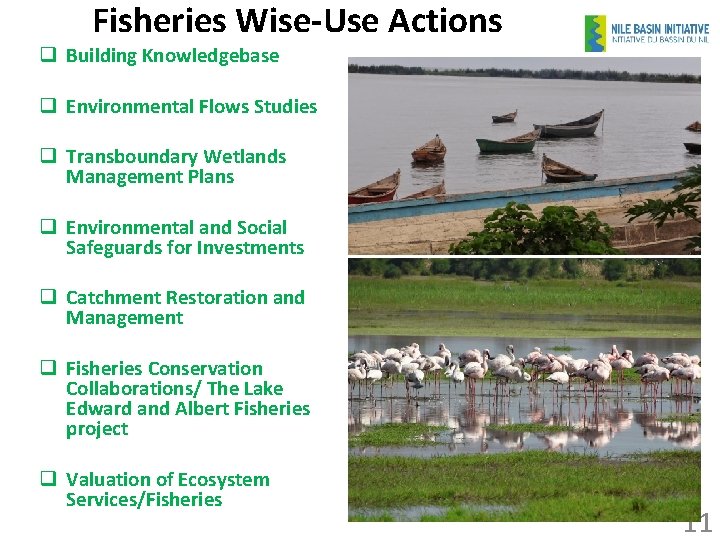 Fisheries Wise-Use Actions q Building Knowledgebase q Environmental Flows Studies q Transboundary Wetlands Management