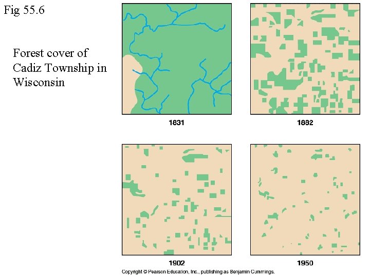 Fig 55. 6 Forest cover of Cadiz Township in Wisconsin 