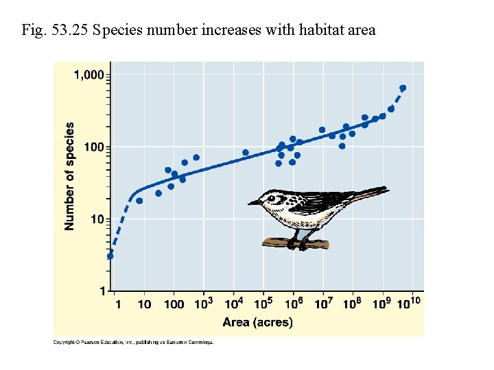 Fig. 53. 25 Species number increases with habitat area 