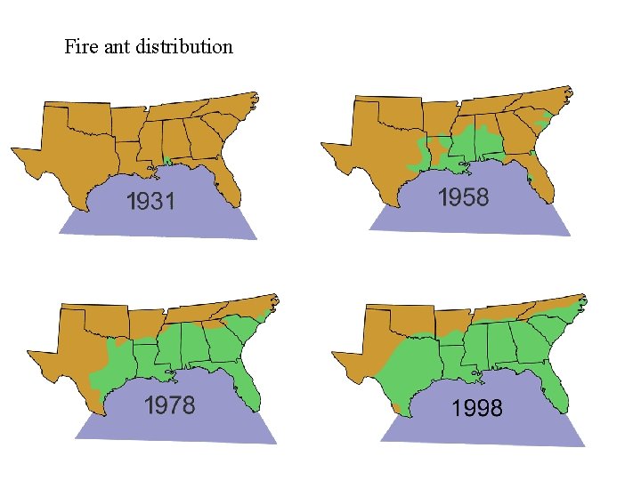 Fire ant distribution 