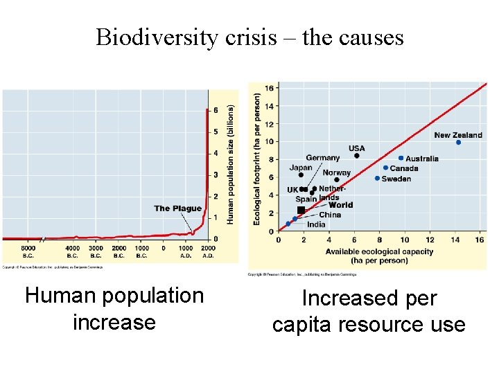 Biodiversity crisis – the causes Human population increase Increased per capita resource use 