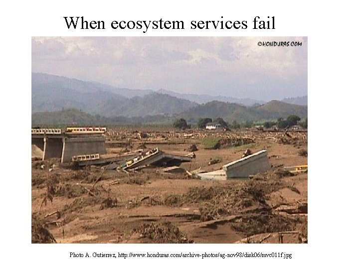 When ecosystem services fail Photo A. Gutierrez, http: //www. honduras. com/archive-photos/ag-nov 98/disk 06/mvc 011