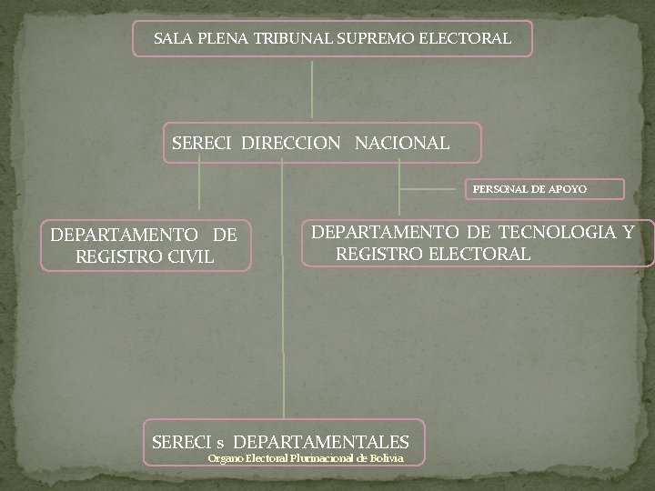 SALA PLENA TRIBUNAL SUPREMO ELECTORAL SERECI DIRECCION NACIONAL PERSONAL DE APOYO DEPARTAMENTO DE REGISTRO