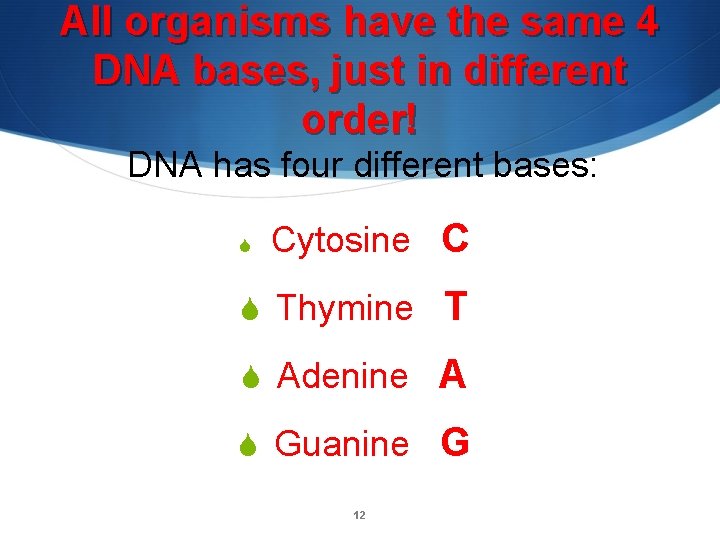 All organisms have the same 4 DNA bases, just in different order! DNA has