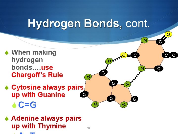 Hydrogen Bonds, cont. O N S When making O hydrogen bonds…. use Chargoff’s Rule