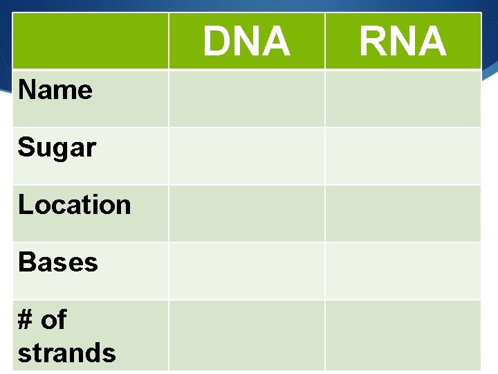 DNA Name Sugar Location Bases # of strands RNA 