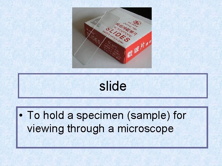 slide • To hold a specimen (sample) for viewing through a microscope 