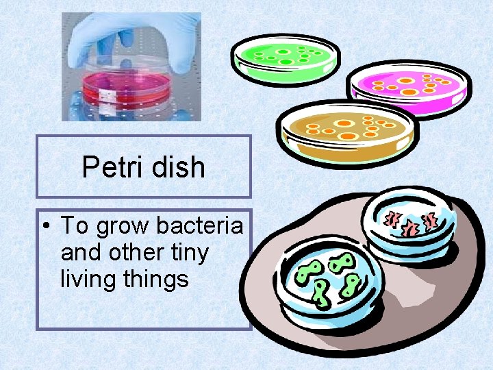 Petri dish • To grow bacteria and other tiny living things 