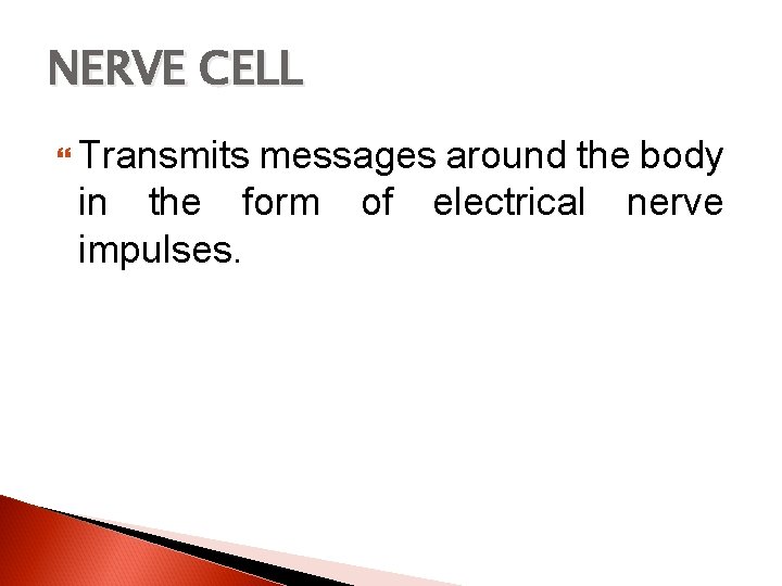 NERVE CELL Transmits messages around the body in the form of electrical nerve impulses.